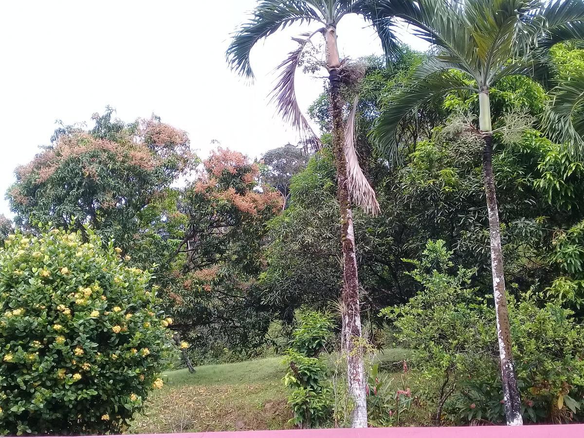 Monique'S Guest House Maraval Exterior photo